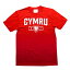 ウェールズ代表　チームオフィシャル　Cymru　Tシャツ　半袖(正規品/メール便可)