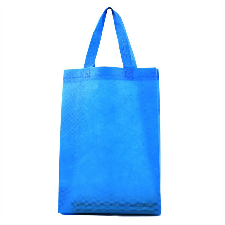 不織布バッグ マチ付き 手提げ イベント セミナー A4 無地 10枚セット FT2115