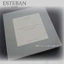 ESTEBAN PARIS お香 お線香 ギフト 香皿 おしゃれ モダン 程よいサイズ感 オレンジ ミント レモングラス ジャスミン アロエ フラワー 日本香堂 フランス