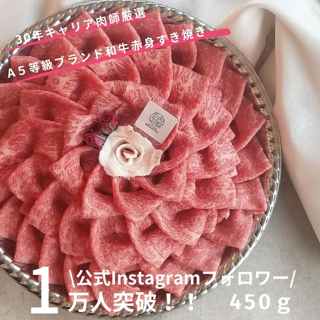  ̵A5µ͵ŹãWADATSU쥯/彣֥ɤƤ/֤֡󡦥 450g ̵󥹥ե1Ͱʾ 30ǯꥢո /뺧ˤ/񤪽ˤ/࿦ˤ/ˤ/ˤ/ե