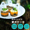 【送料無料】犬 ケーキ 誕生日 犬の管理栄養士が考えた厳選素材の「わんちゃんのためのケーキ」小型犬 送料無料