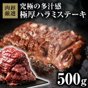 【2日9時59分まで5,380円→2,690円】 ハラミ 焼肉 はらみ 牛はらみ 厚切りハラミ 肉 牛肉 ハラミステーキ 【肉卸厳選 究極の多汁感 極厚ハラミステーキ500g】