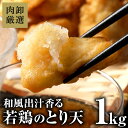 ニチレイ　フライドサラダチキンフィレ(ミニ)　700g(20枚)