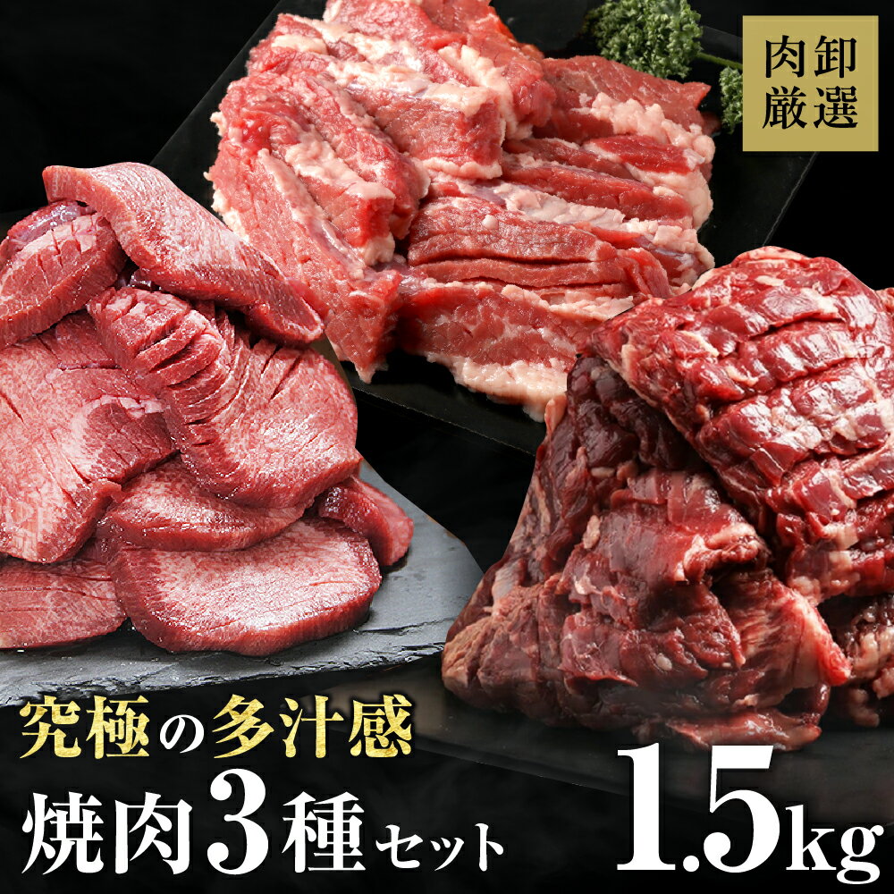 【11日1時59分まで12,800円→6,990円】 肉 焼肉 焼肉セット 牛タン 厚切り カルビ ハラミ バーベキュー メガ盛り 訳あり 【究極の多汁感 焼肉3種セット】