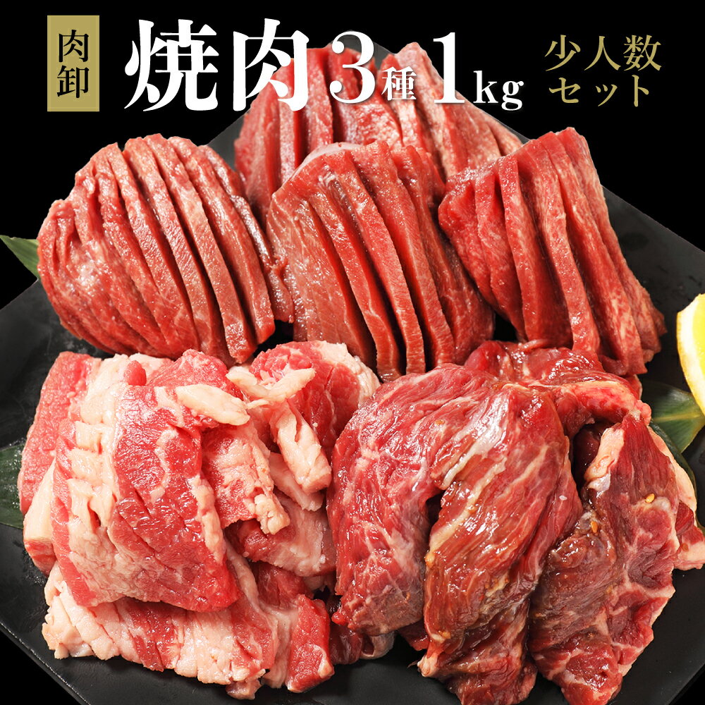 肉 福袋 焼肉 焼肉セット 1kg 牛タン メガ盛り 2人 2人前 3人 から 5人 厚切り お取り寄せグルメ わけあり 訳あり カルビ ハラミ 小分け 冷凍食品 個包装 肉卸焼肉少人数セット3種1kg