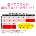 【16日9時59分まで2,680円→2,410円】 【11日正午迄 母の日まだ間に合う】 【たけだバーベキューコラボ第二弾】 プルドポーク バーベキュー 食材 湯煎3分で完成 フォークでほろっほろプルドポーク 2