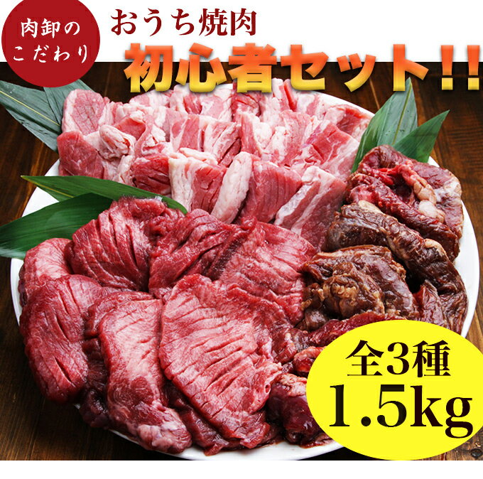 お取り寄せグルメ 肉 福袋 焼肉 焼肉セット タン メガ盛り 2人 2人前 約 1kg 4人 から 5人 厚切り わけあり 訳あり パーティーセット カルビ ハラミ 小分け 冷凍食品 個包装 肉卸のこだわり★おうち焼肉初心者セット(1.5kg)