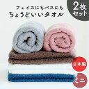 コンパクトシリーズミニバスタオル 2枚組 バスタオル 小さめ 日本製 吸水 泉州 タオル ミニバスタオル 色違い コンパクト まとめ買い ホワイト ローズグレー...