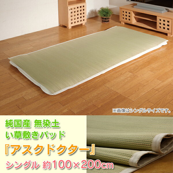 ���̵���ڤ����ߤ��ѥåɡإ������ɥ������٥��󥰥���100&times;200cm��ʪ����ŷ���Ǻ༫���ޥåȿ���ƿ����TD��