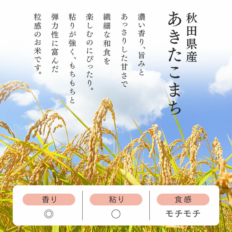 低温製法米のおいしいごはん 秋田県産あきたこまち 180g×10パック 角型 パックごは...