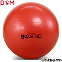 D＆M SDSエクササイズボール レッド SDS55 ディーエム 楽天スーパーSALE RakutenスーパーSALE