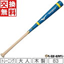 【3連休も毎日出荷】 【交換送料無料】 ミズノ MIZUNO グローリーステップHS トレーニングバ ...