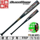   野球 バット 少年軟式 FRP ZETT ゼット ブラックキャノンAパワー トップバランス 76cm 78cm 80cm 580-600g平均 バットケース付 BCT753 ジュニア 子供用