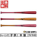 ＼1日(水)ポイント5倍／ 野球 ミズノ 限定 バット ミズノプロ MP ノック ノックバット 1CJWK175 MIZUNO