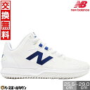 【交換往復送料無料】 トレーニングシューズ 野球 大谷翔平 ニューバランス New Balance 53 OHTANI V1 TURF 2E ターフ TSHOWB12E 一般 トレシュー 靴 くつ アップシューズ 2025年NEWモデル 【365日あす楽対応】