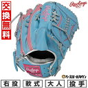 【交換往復送料無料】 野球 グローブ 大人 軟式 ローリングス Rawlings HOH PRO EXCEL Wizard #02 COLORS 投手用 サイズ...