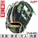 【交換往復送料無料】 野球 グローブ 大人 軟式 ローリングス Rawlings HOH PRO EXCEL Wizard #02 COLORS 内野手用 サイ...