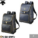 野球 リュック 大人 デサント DESCENTE バックパック バックパック リュックサック DB4FBP00U バッグ刺繍有料可(B)