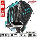 【年中無休】 【交換往復送料無料】 野球 グローブ 軟式 大人 右投げ ローリングス Rawlings HOH PRO EXCEL WIZARD ♯02 COL...