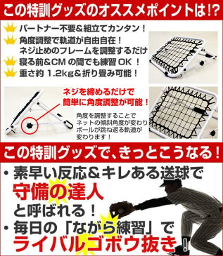 野球 投球・守備練習用ミニネット お部屋でスナップ＆スロー ピッチング 室内 屋内 少年 ジュニア 子供 子ども FST-4233N2 フィールドフォース