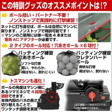 最大1500円引クーポン 送料無料 野球 練習 電池おまけ エンドレス打撃練習マシン トスマシン＋専用ネット＋穴あきボール6個セット 打撃 バッティング 6ヶ月保証付き FTM-263AR ラッピング不可 フィールドフォース あす楽