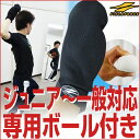最大14%OFFクーポン 野球 投球練習用 シャドースロー ...