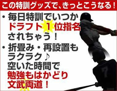 最大5％引クーポン ジュニア向け軟式野球用バッティングネット 1.7mx1.4m こんなサイズを探してた！小〜中学生にぴったり♪ 野球練習用品 打撃ネット 学童野球用品 少年野球用品 セール SALE あす楽 ラッピング不可 少年用 こどもの日 プレゼント