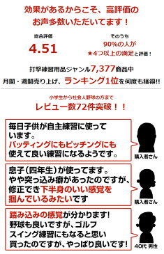 野球 練習 スウィングスタンド 打撃特訓用 体重移動 スイング矯正 バッティング 投球 ピッチング テニス ゴルフ FSWS-3050 フィールドフォース トレーニング
