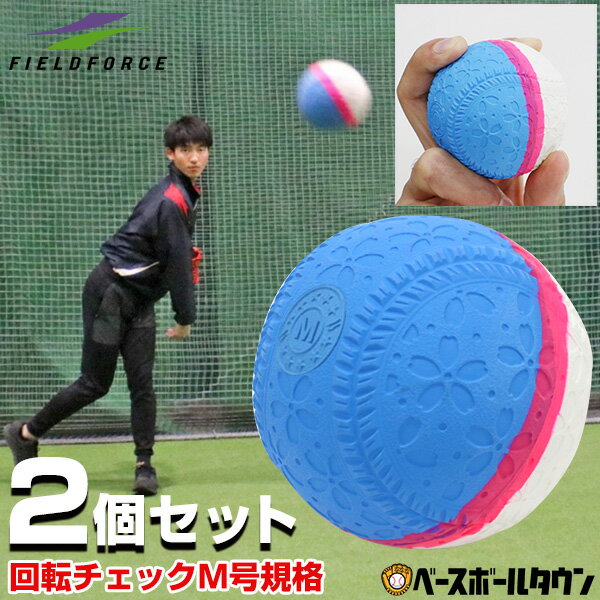 フィールドフォース 回転チェックボール M号 2個セット 練習球 軟式野球ボール 一般向け 大人 練習用 練習ボール M球 M号ボール FNB-721MK トレーニング 楽天スーパーSALE RakutenスーパーSALEのサムネイル