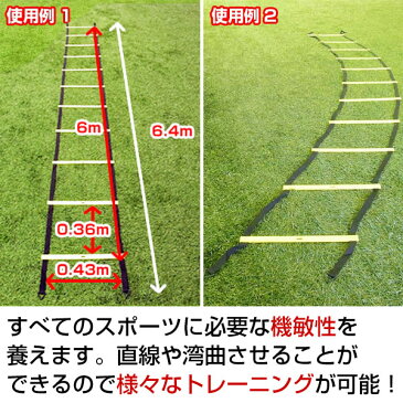 最大10％引クーポン 野球 練習 トレーニングラダー 6m マニュアル付き スピードラダー 連結可能 トレーニング用品 サッカー フットサル バスケットボール フィジカル FST-600RN フィールドフォース