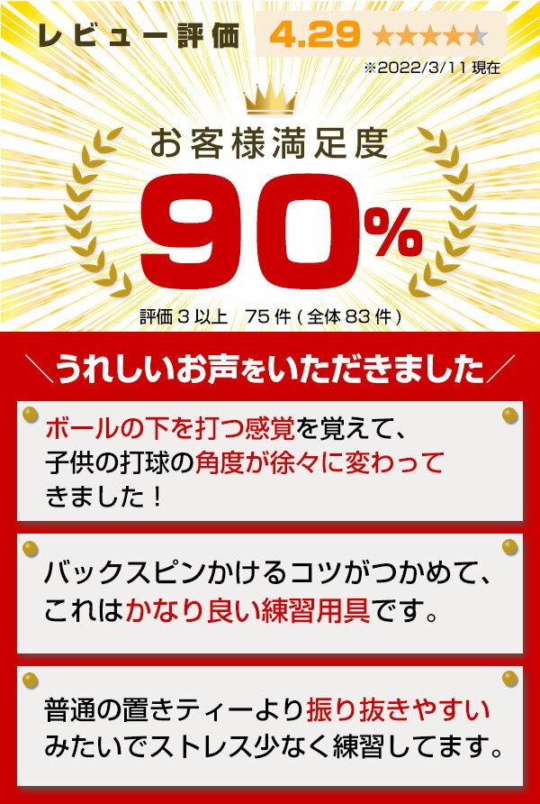 最大10％引クーポン 6ヶ月保証 野球 練習 スウィングパートナー・バックスピン 硬式・軟式M・J球対応 打撃 バッティング 吊るすティー 吊り下げ式 吊るし つるすティー トレーニング FBST-301 フィールドフォース ラッピング不可