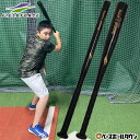 野球 練習 太さが選べる片手トレーニングバット 一般・ジュニア兼用 金属製 軟式M号・J号 実打可能 ...