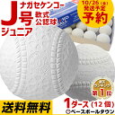 送料無料 【10/26(金)発...