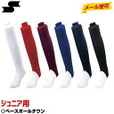 【送料290円】ミズノ ストッキング（プロモデル）（野球） ホワイト Mizuno 52UA13201