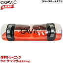 40%OFF トレーニング用品 ガビック ウォーターバッグ 体幹トレーニング 最大35kg(35リットル) GC1220 アウトレット セール sale 在庫処分