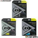 テニス ダンロップ エクスプロッシブ スピード 硬式 ストリング ガット DST11021