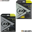 テニス ダンロップ エクスプロッシブ バイト ロール 240M 硬式 ストリング ガット DST12011
