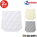 2枚セット 野球 パッド レワード REWARD ヒップパッド(大人/ジュニア用) 縫い付け用 AC01/AC51 メール便可 【365日あす楽対応】