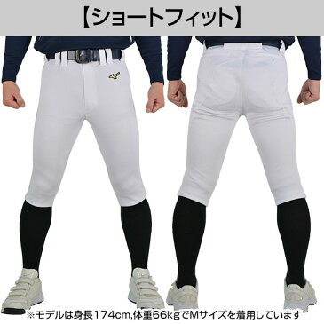 最大10%引クーポン 【サイズ交換往復送料無料】練習着 ユニフォームパンツ 野球 ミズノプロ ストレッチ練習用 レギュラーフィット ショートフィット 12JD9F10 12JD9F13 野球ウェア 野球ズボン