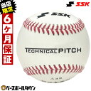 当店限定6ヶ月保証 SSK テクニカルピッチ 投球測定トレーニングボール TP001