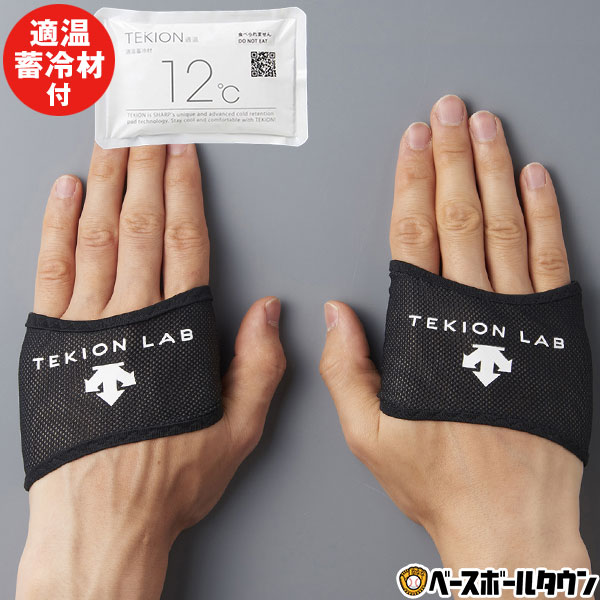 デサント クーリング手袋 適温蓄冷材付き 両手用 コアクーラー TEKIONグローブ DAT-9000