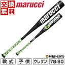 ミズノ MIZUNO 専用バットケース付き BEYONDMAX LEGACY ビヨンドマックスレガシー 軟式用FRP製バット 一般 ブラック トップバランス ミドルバランス 野球 軟式 バット カーボン 1CJBR18183 1CJBR18184 1CJBR18185 1CJBR18283 1CJBR18284 1CJBR18285