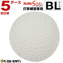 50 OFF マルエスボール バッティング練習専用ボール 5ダース(60個セット) 軟式 BL号サイズ 安心 安全の公認メーカー製 ピッチングマシンにも トレーニング 軟式球 軟式ボール 以下 半額以下 タイムセール アウトレット セール sale アウトレット セール sale 在庫処分