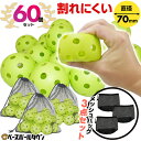 野球 バッティング練習用ボール 穴あき 60個セット(20個入り×3) 専用メッシュバッグ付き 軽い・柔らか・飛ばない・割れにくい 打撃 バッティング トレーニング 打撃練習ボール バッティングボール バッティング用ボール PFBALL-7260 BBCH ベースボールチャンプ