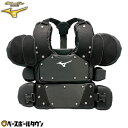 ミズノ MIZUNO 野球 硬式・軟式・ソフトボール兼用インサイド 1DJPU20009 防具