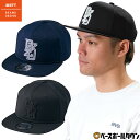 Go to 楽天市場 ( online shop : Japan )