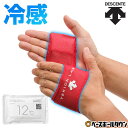 デサント DESCENTE アイシング クーリング手袋 適温蓄冷材付き 両手用(2個入) コアクーラー TEKIONグローブ DAT-9000 冷感 クール ひ...