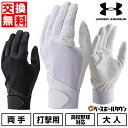 【年中無休】 【交換往復送料無料】 野球 バッティンググローブ 白 大人 両手用 アンダーアーマー UNDER ARMOUR UAスターター バッティンググロー...