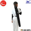 【年中無休】 野球 バットケース 1本入れ ジュニア ミズノ MIZUNO 1FJT356109 【365日あす楽対応】