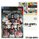 野球 2025 ミズノ MIZUNO ベースボール・ソフトボールカタログ 【365日あす楽対応】